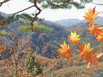 水利部针对重庆四川甘肃启动洪水防御Ⅳ级应急响应